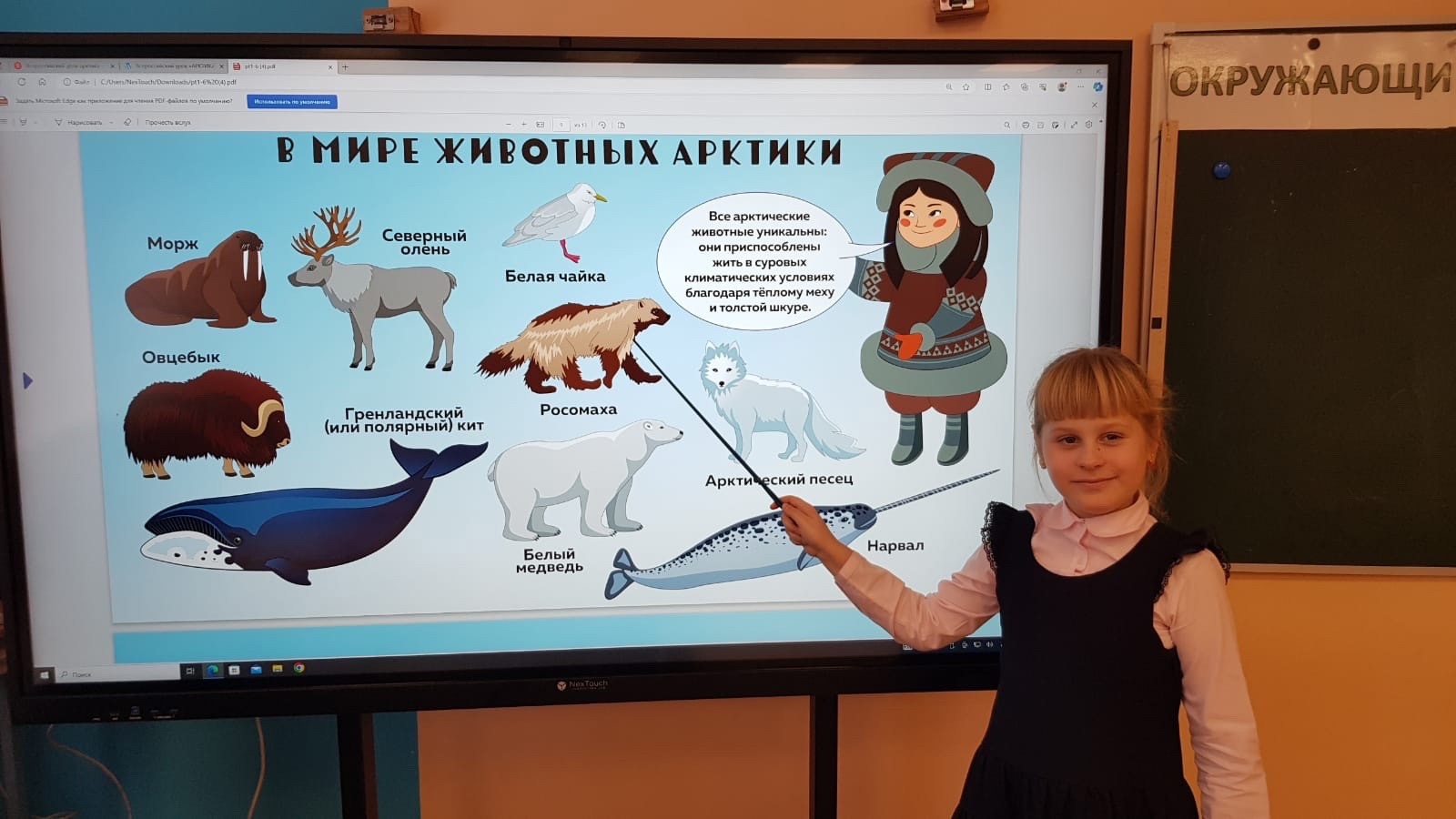 28 ноября 2023 урок "Цветная Арктика".